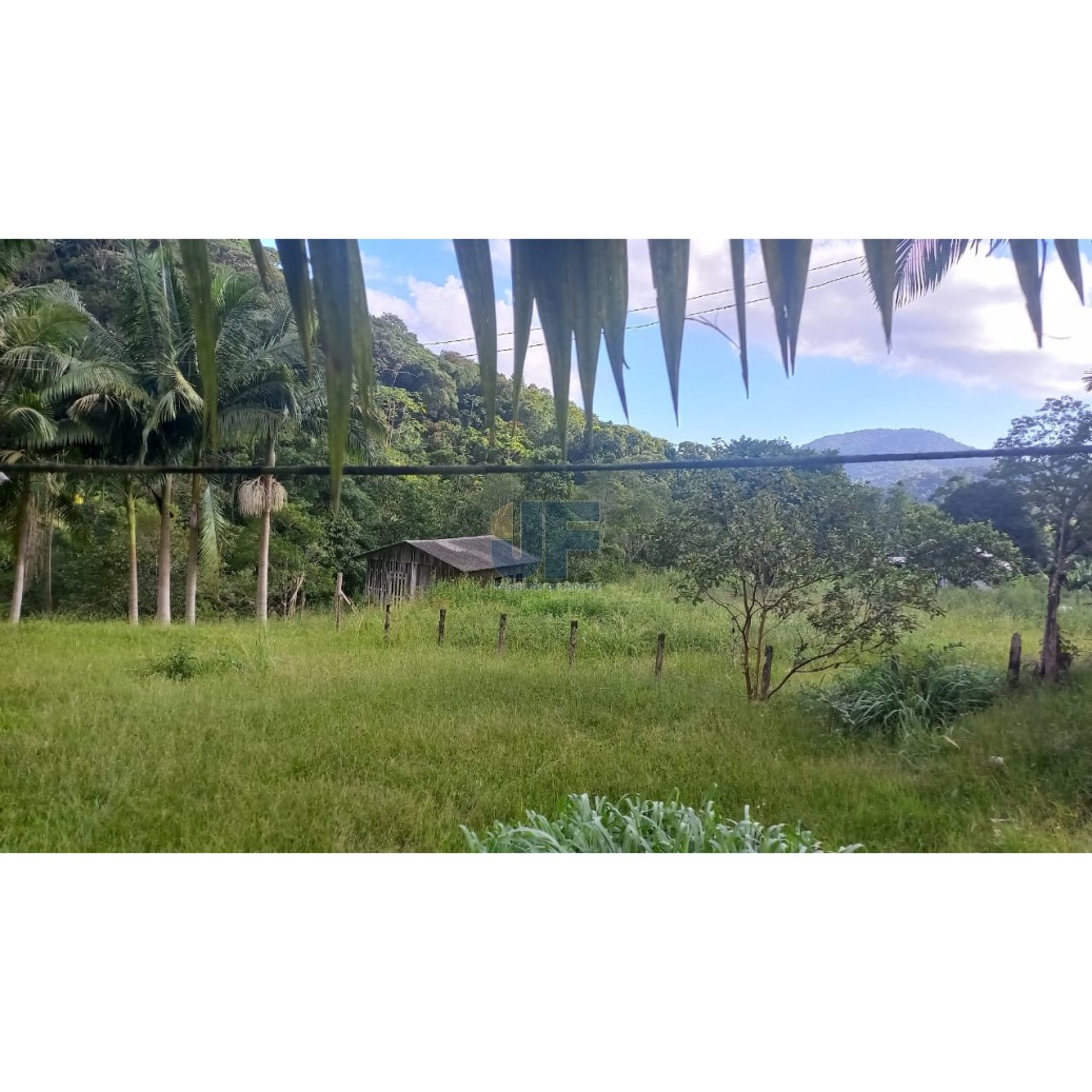 Sítio à venda com 2 quartos, 20000m² - Foto 3