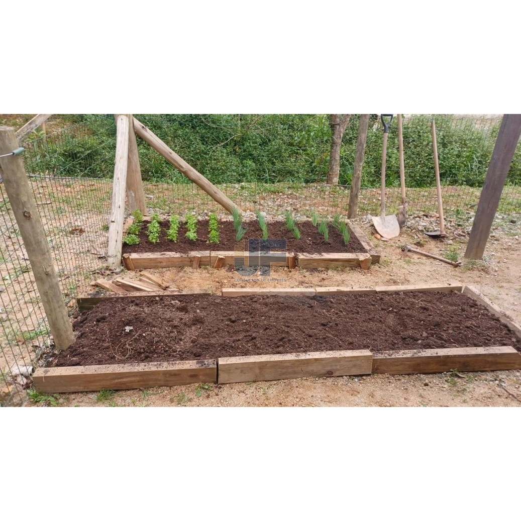 Sítio, 3 quartos, 3 hectares - Foto 14