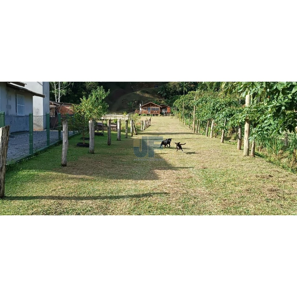 Sítio, 3 quartos, 3 hectares - Foto 2