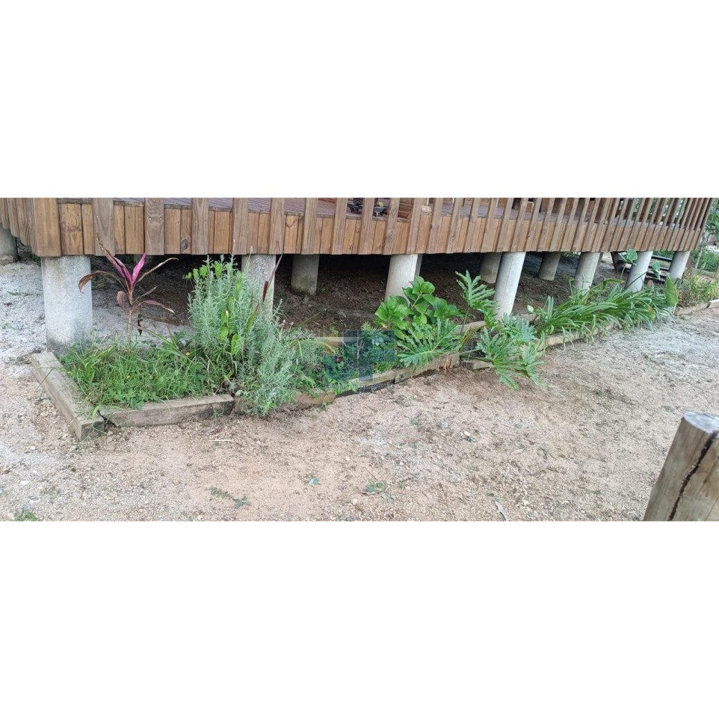 Sítio, 3 quartos, 3 hectares - Foto 4