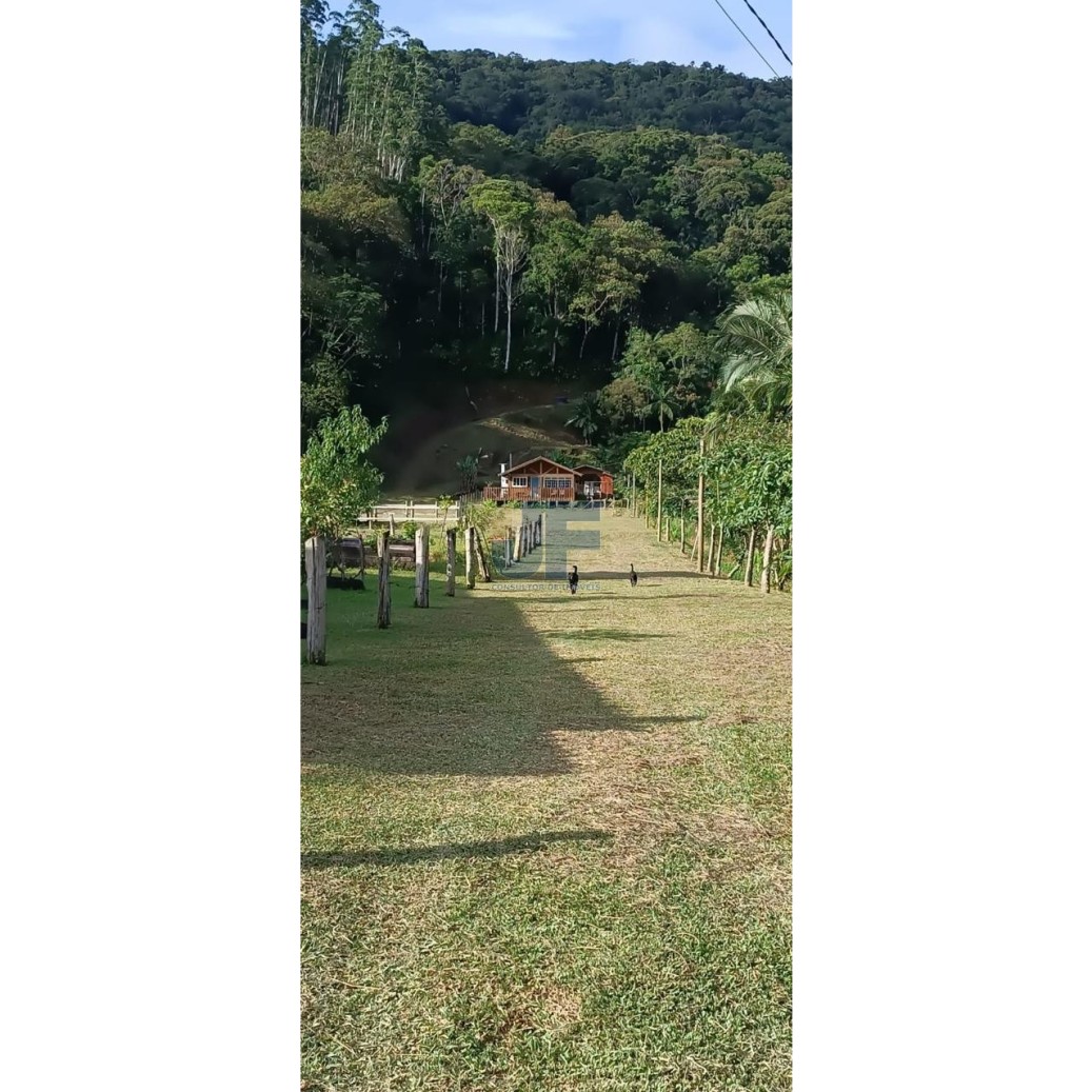 Sítio, 3 quartos, 3 hectares - Foto 8