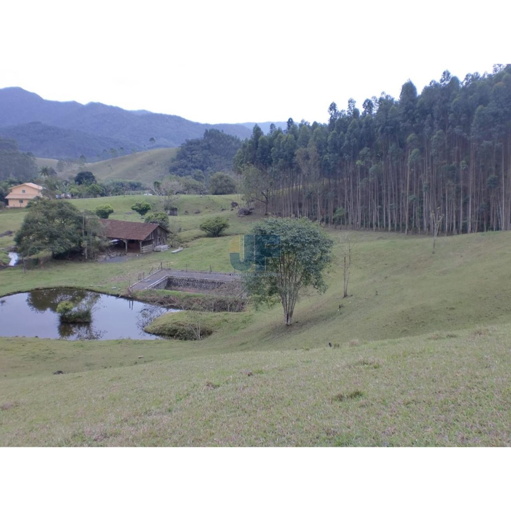 Sítio, 3 quartos, 17 hectares - Foto 4