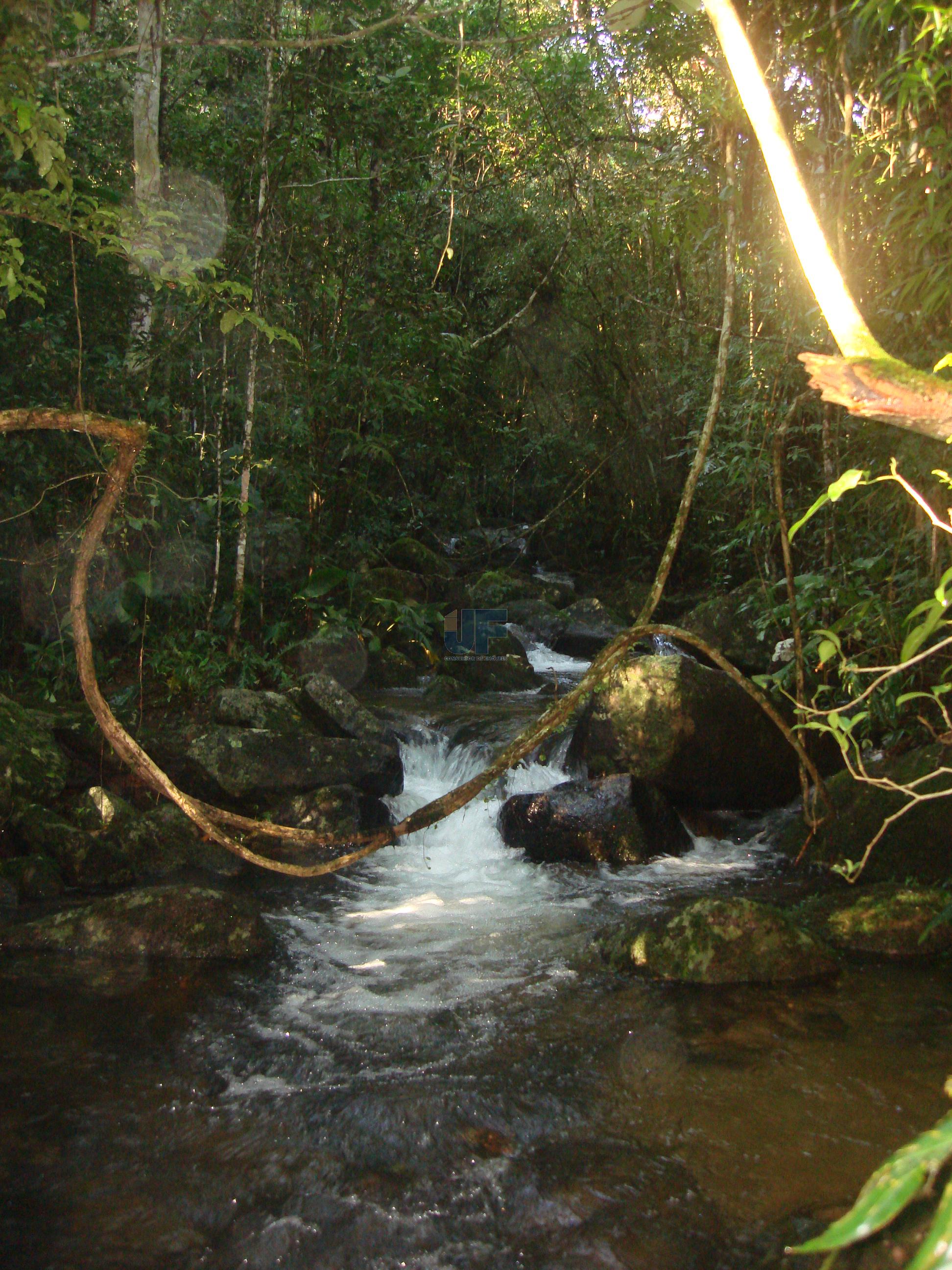 Sítio, 207 hectares - Foto 20