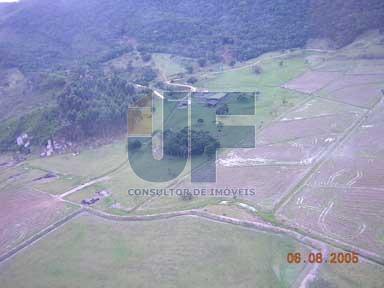 Sítio, 207 hectares - Foto 4