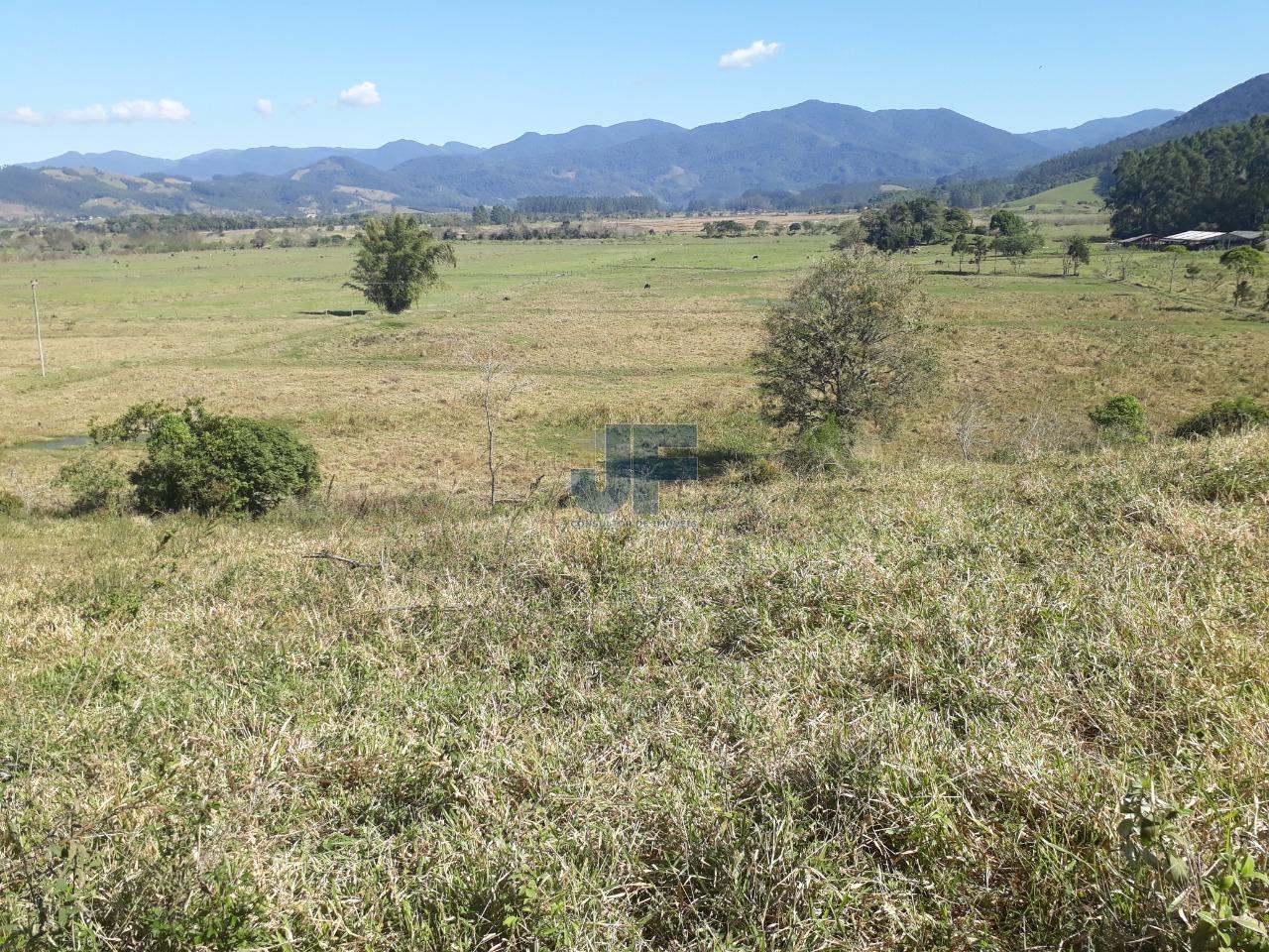 Sítio, 207 hectares - Foto 8