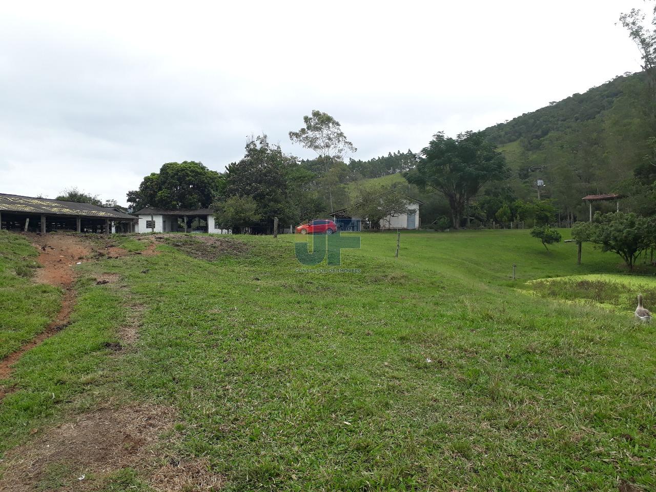 Fazenda, 53000 hectares - Foto 11