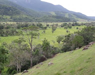 Fazenda em Paulo Lopes Fazenda completa , Santa Catarina, possui 530 hectares aproximadamente. Fazenda em Paulo Lopes Fazenda completa , Santa Catarina, possui 530 hectares aproximadamente.