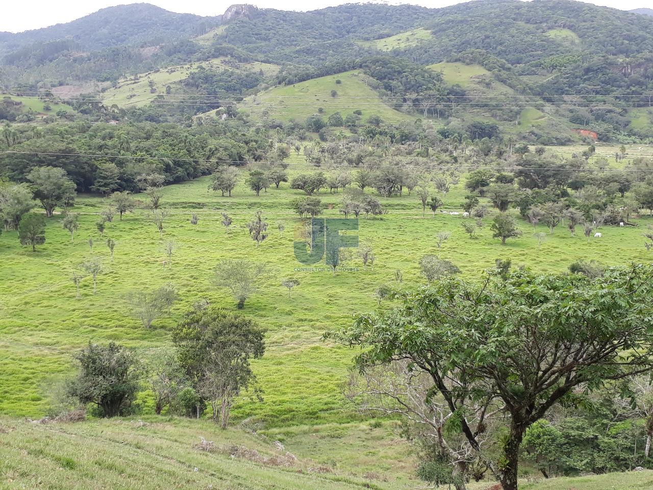 Fazenda, 53000 hectares - Foto 15