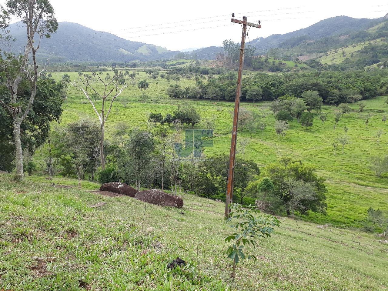 Fazenda, 53000 hectares - Foto 16
