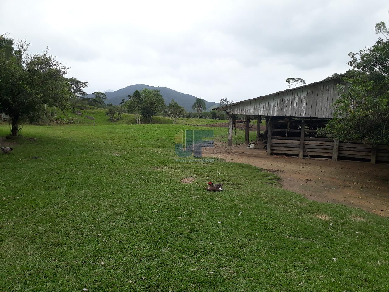 Fazenda, 53000 hectares - Foto 3